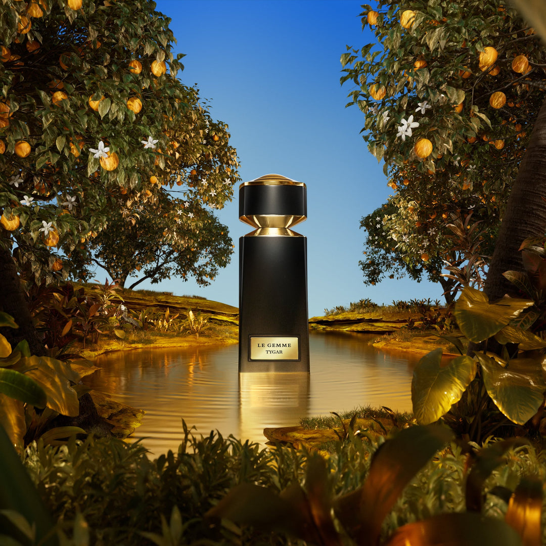 https://www.arcstore.co.za/Files/Images/Ecom/Brands/ABC/Bvlgari/101491_125ML_D.jpg