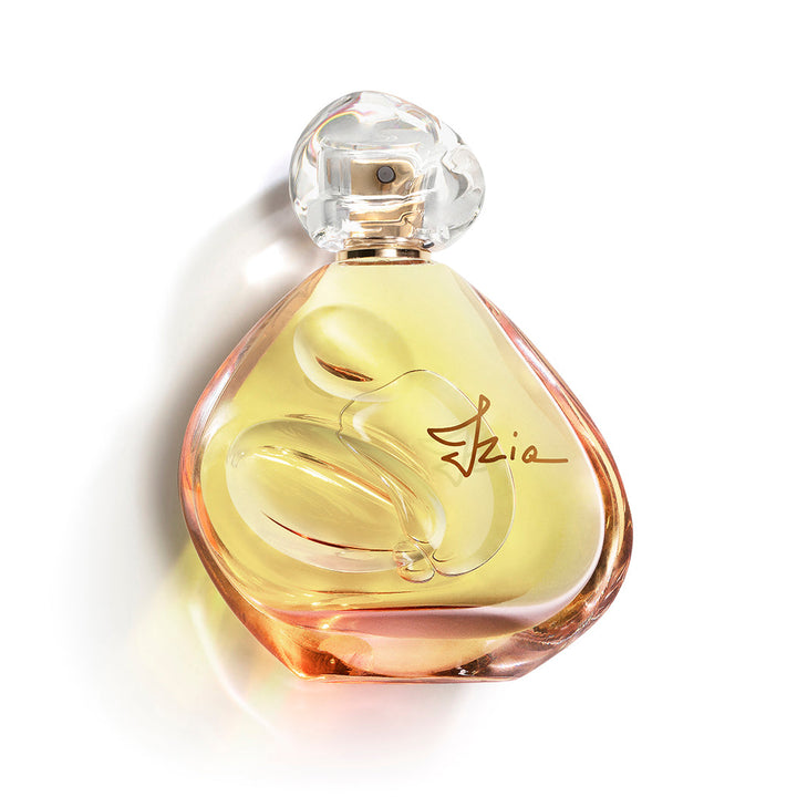 https://www.arcstore.co.za/Files/Images/Ecom/Brands/STU/Sisley/113934_100ML_A.jpg