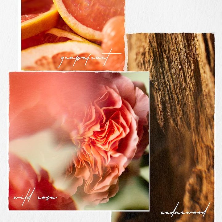 https://www.arcstore.co.za/Admin/Public/GetImage.ashx?Width=800&Height=800&Crop=5&DoNotUpscale=True&FillCanvas=False&Image=/Files/Images/Ecom/Brands/PQR/Pureology/115519_266ML_E.jpg&AlternativeImage=/Images/missing_image.jpg