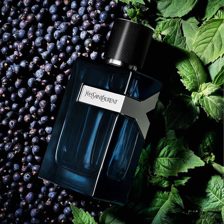 https://www.arcstore.co.za/Admin/Public/GetImage.ashx?Width=800&Height=800&Crop=5&DoNotUpscale=True&FillCanvas=False&Image=/Files/Images/Ecom/Brands/VWXYZ/Yves%20Saint%20Laurent/115276_100ML_D.jpg