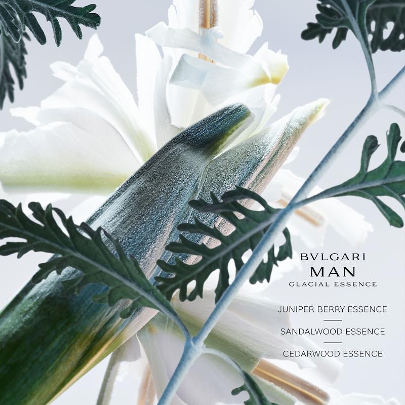 https://www.arcstore.co.za/Admin/Public/GetImage.ashx?Width=800&Height=800&Crop=5&DoNotUpscale=True&FillCanvas=False&Image=/Files/Images/Ecom/Brands/ABC/Bvlgari/200525_100ML_B.jpg&AlternativeImage=/Images/missing_image.jpg