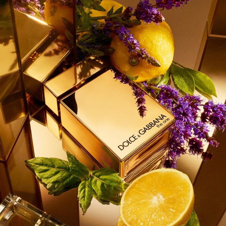 https://www.arcstore.co.za/Admin/Public/GetImage.ashx?Width=800&Height=800&Crop=5&DoNotUpscale=True&FillCanvas=False&Image=/Files/Images/Ecom/Brands/DEF/Dolce%20and%20Gabbana/116971_100ML_C.jpg