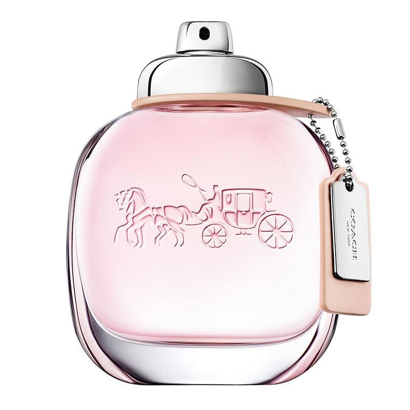https://www.arcstore.co.za/Admin/Public/GetImage.ashx?Width=800&Height=800&Crop=5&DoNotUpscale=True&FillCanvas=False&Image=/Files/Images/Ecom/Brands/ABC/Coach/102929_90MLV05_A.jpg&AlternativeImage=/Images/missing_image.jpg